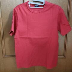 Sサイズ　ユニクロシャツ　UNIQLO