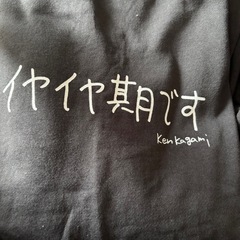 加賀美健 トレーナー Lサイズの画像