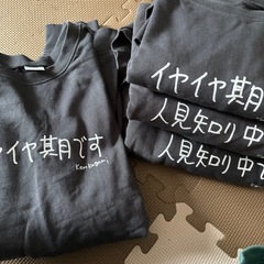 加賀美健 トレーナー Lサイズ