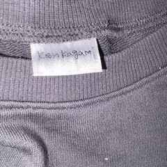 加賀美健 トレーナー Lサイズの画像