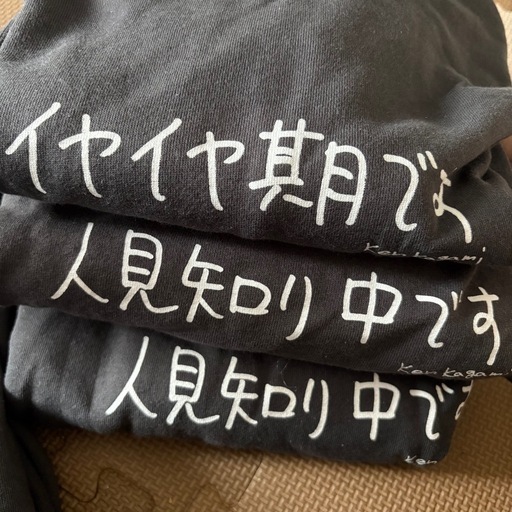 加賀美健 トレーナー Lサイズ