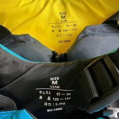 シュノーケリングベストとマスク4人用とおまけの画像
