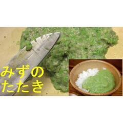 すぐにお渡しできます♪黒部産【太くて長い】天然 赤みず ミズ 1500ｇの画像