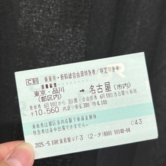 【東京-名古屋】新幹線乗車券~6/10