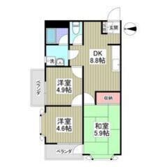 💚💛初期費用5万円パック＆フリーレント1ヶ月付き💛💚ペット可🐱🐶...