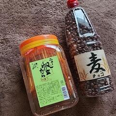 ニュー帆立たら 麦チョコ