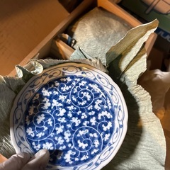 小皿　7枚セット