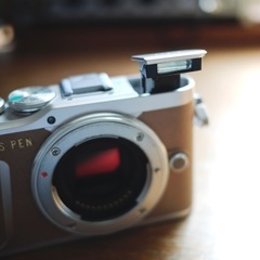 【 OLYMPUS PEN E-PL9 】の画像