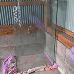 水槽