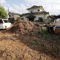 【日払・簡単】枝の仕分け・性別不問（外作業・複数名可）