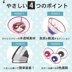 ＜美品＞エリザベスカラー　ペットの画像