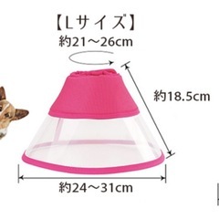 ＜美品＞エリザベスカラー　ペットの画像
