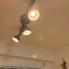 IKEA ダイニングライト RANARP ラーナルプ　