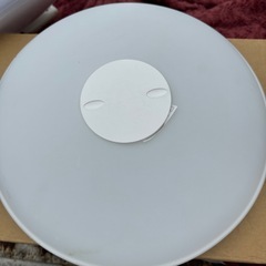 LEDシーリングライト