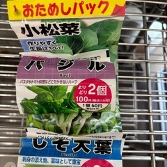 家庭菜園・水耕栽培セットの画像
