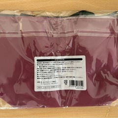 リルバンブー スリムタンブラー とエコモ・ラフィナ 保冷温 ランチバッグ の画像