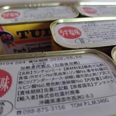 ランチョンミート340g×5点の画像
