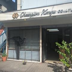 【商談中】ガーデンカリブラコア　スイングベル追記の画像