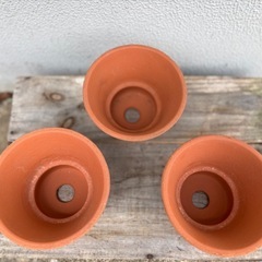 ②植木鉢　素焼き　テラコッタ鉢×3つ　穴あり　重量あり 幅15xm×高さ10cm【おしゃれなガーデニング　寄せ植えに】の画像