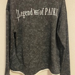 Tシャツ　外国ブランド　男女不問デザインの画像