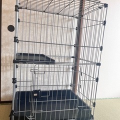 猫用2段ゲージの画像