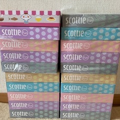 SCOTTIE  　箱ティッシュ　20箱
