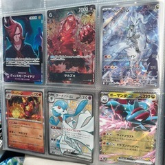 ポケモンカード、ワンピースカード