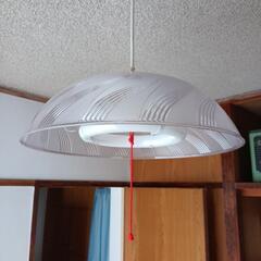 ご入用でしたら差し上げます　蛍光灯の室内灯です