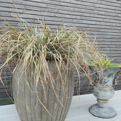 ガーデンズ　植木鉢　イルマの画像
