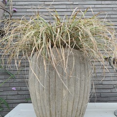 ガーデンズ　植木鉢　イルマの画像