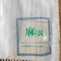 42-半袖カラーシャツの画像
