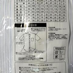 44-半袖　カラーシャツの画像