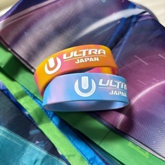 ウルトラジャパン　フラッグ旗　ULTRAJAPAN 2枚の画像
