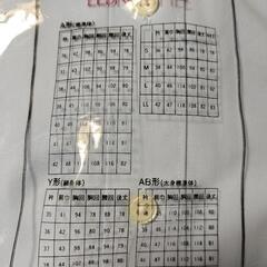 A40-半袖　カラーシャツの画像