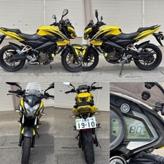 ⭐️自賠責3年付きですぐ乗れる❗️Kawasaki.Pulser200NS⭐️オイル・プラグなど新品交換済みで快調⭐️の画像