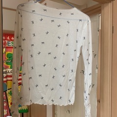 テーシャツ？の画像