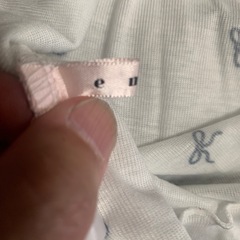 テーシャツ？の画像