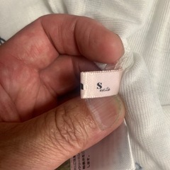 テーシャツ？の画像