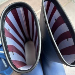 converse、adidas靴まとめての画像