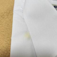 シミあり　40-半袖の画像