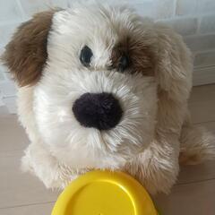美品‼️犬ぬいぐるみの画像