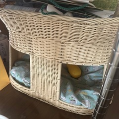 猫のトイレと小屋の画像