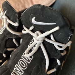 NIKE AIRmoneyの画像