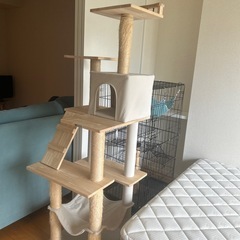 キャットタワー、ゲージ、トイレ
