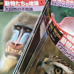 週刊　朝日百科　動物たちの地球　100冊程度　まとめ売りの画像