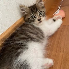 一時中断