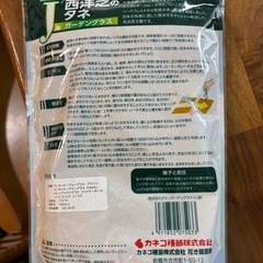 西洋芝のタネの画像