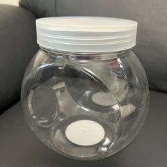 ①久遠七星（くおんしちせい）メダカ稚魚（１ｃｍ前後）７匹セット（容器付き：３枚目写真）の画像