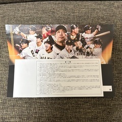 【直接お渡しのみ】セ･リーグ公式戦 2025 巨人vs東北楽天 6月8日(日) 3塁側指定席A 2枚の画像