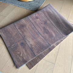 アスワンロボフロアー　クリーンロボ　ペットが滑らないクッションフ...